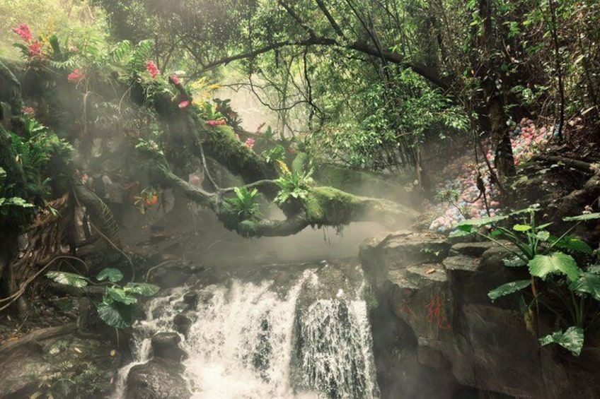 A waterfall in a forested area with rocks and greenery. 5