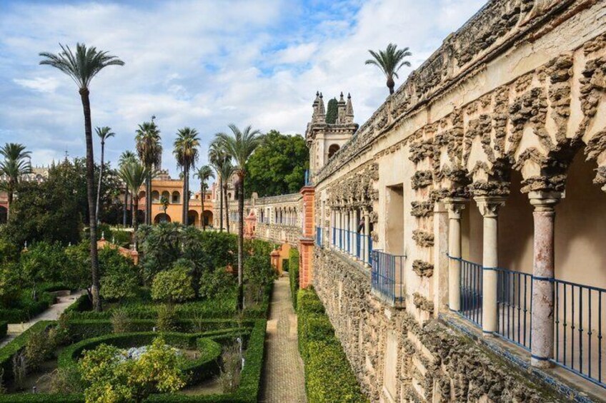 A historic courtyard with palm trees, a pathway, and classical architecture. 3
