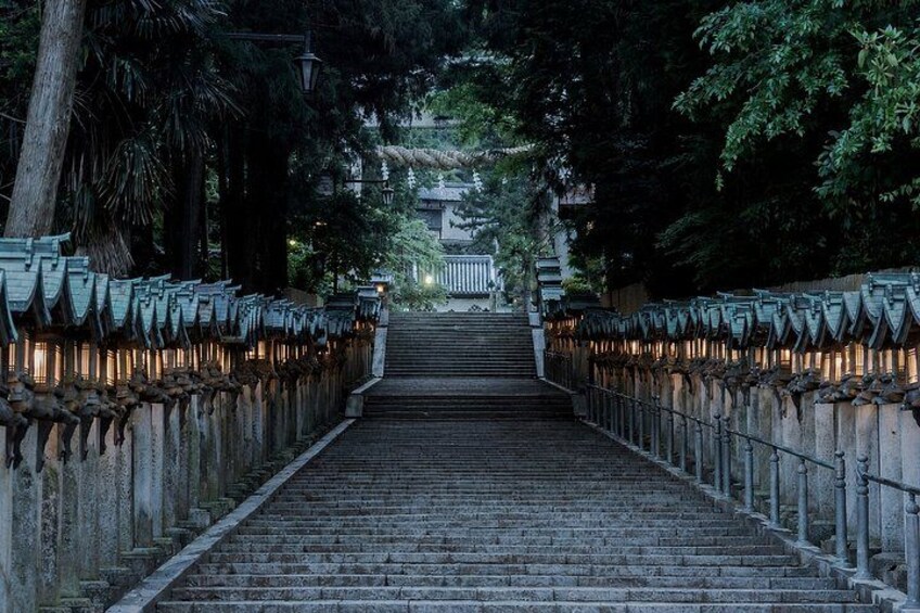 Nara Private local Tour with Local Guide and Optional Bungy Jump 3