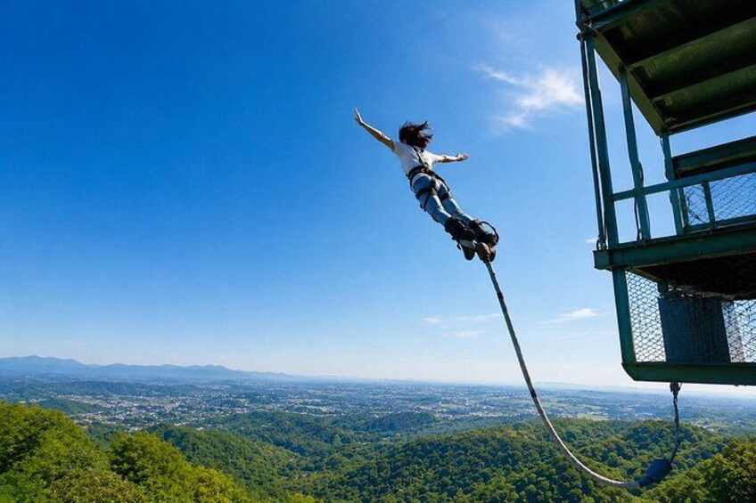 Nara Private local Tour with Local Guide and Optional Bungy Jump 5
