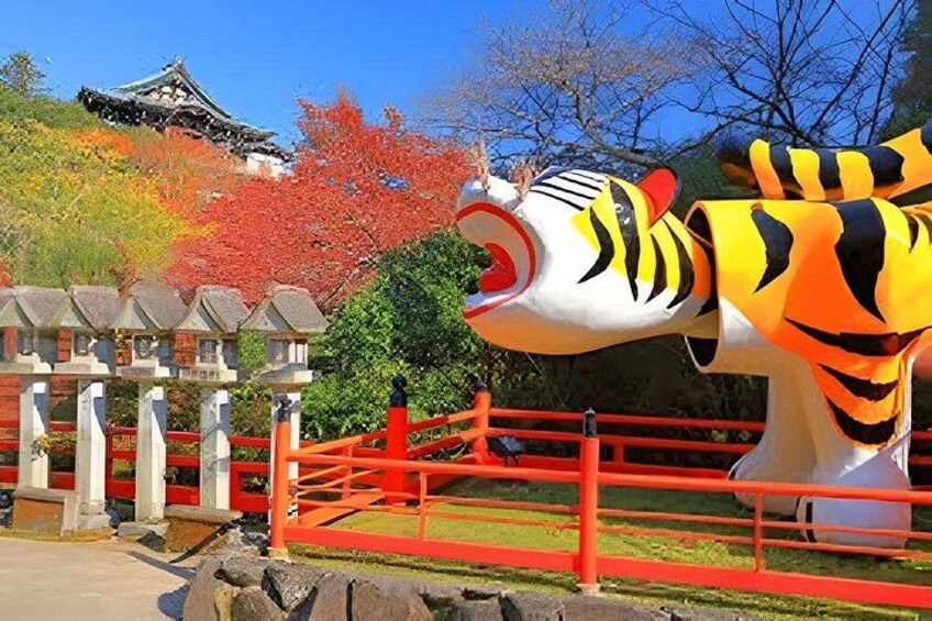 Nara Private local Tour with Local Guide and Optional Bungy Jump 2