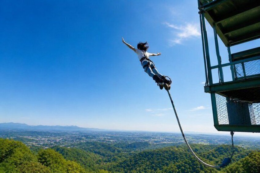 A person bungee jumping with a clear view of a forested landscape and distant mountains. 5