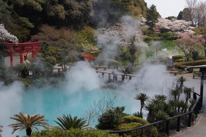 A hot spring with steam, a red torii gate, and cherry blossoms. 1