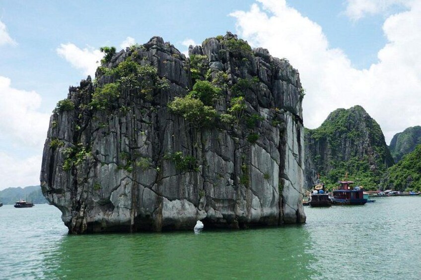 Private Halong Bay 5-Star Cruise Day Tour | Private Car & Guide 3