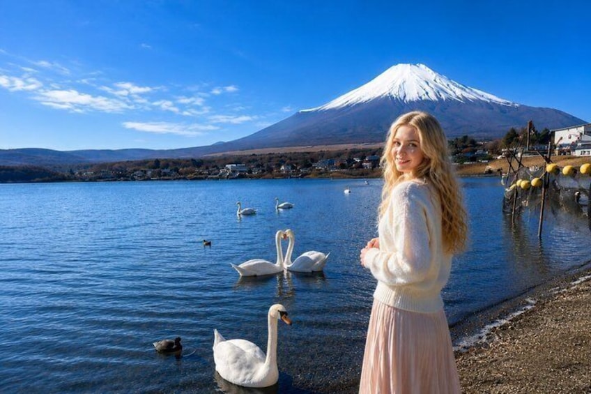 A lake with swans, a person, and a mountain in the background. 3