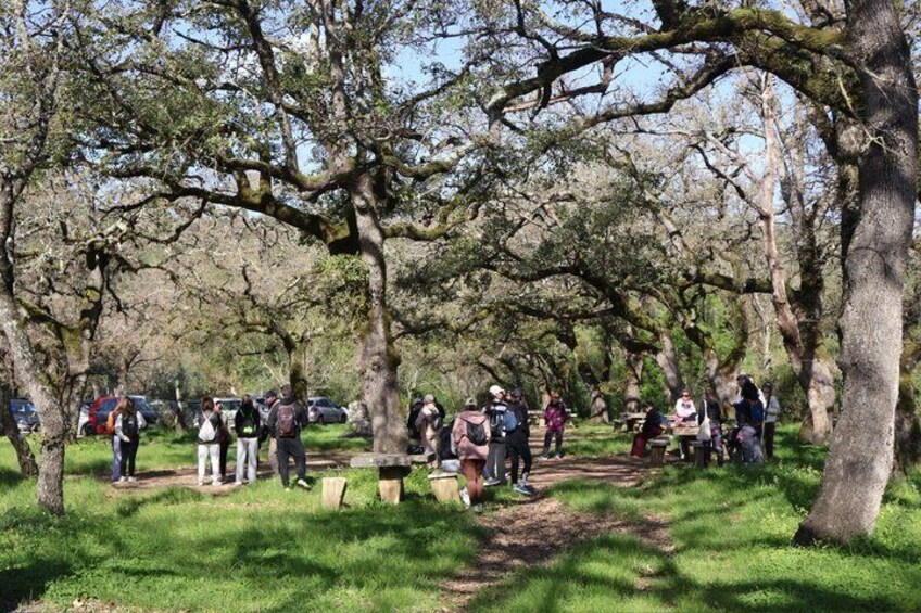 From: Setúbal Private Arrábida Nature Walk & Premium Wine Tour 4