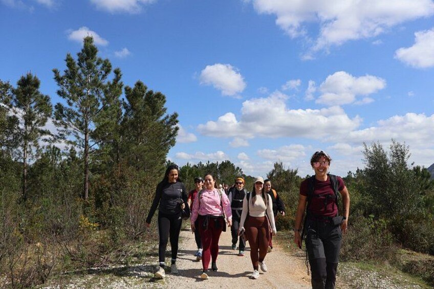 A group of people walking on a dirt path surrounded by pine trees. 5