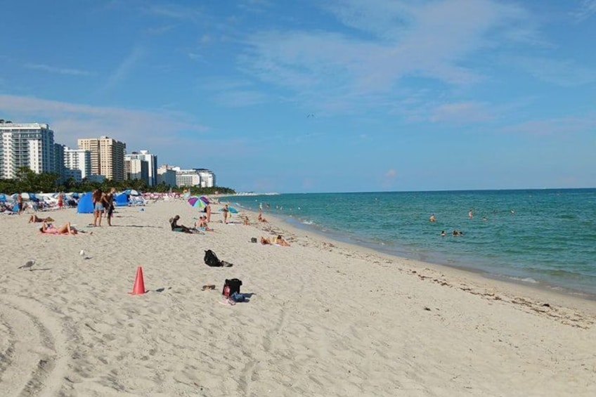 Miami Combo: Everglades Adventure and Sightseeing Tour 4