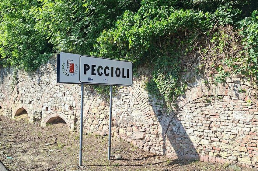 A sign for 'PECCIOLI' with a coat of arms, set against a stone wall with arches and greenery. 1