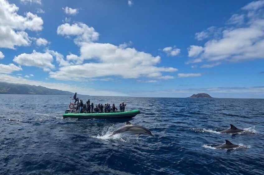 Trip to the Vulcanic Corvo Island 2