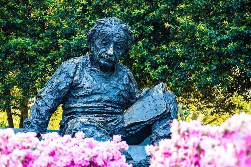 A statue of a man holding a book, surrounded by pink flowers and green foliage. 5