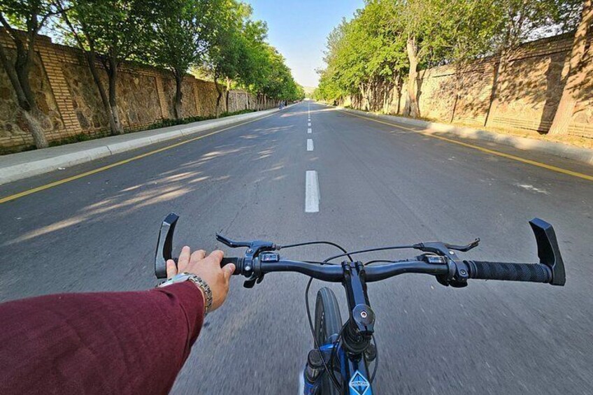 A bicycle with a rider's hand on the handlebars, a road with a white line down the center, and trees lining the sides. 2