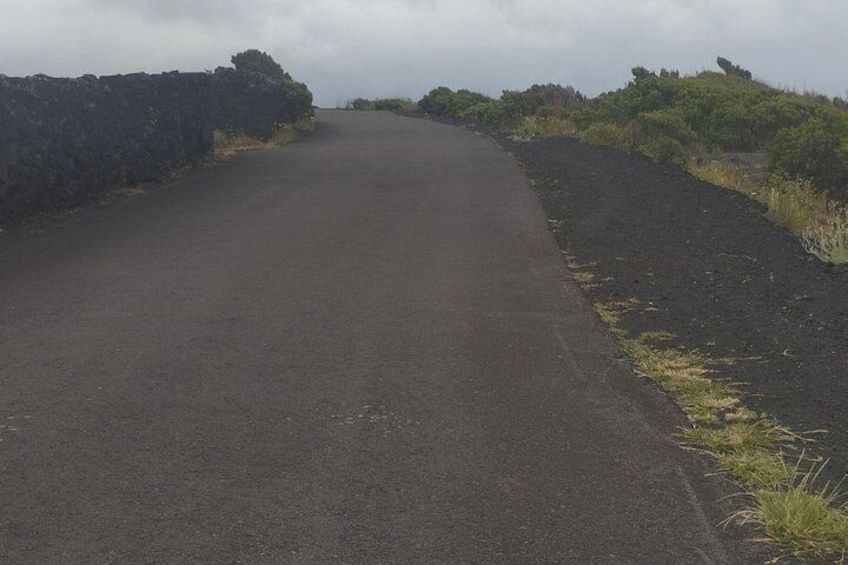 A paved road flanked by stone walls and vegetation. 2