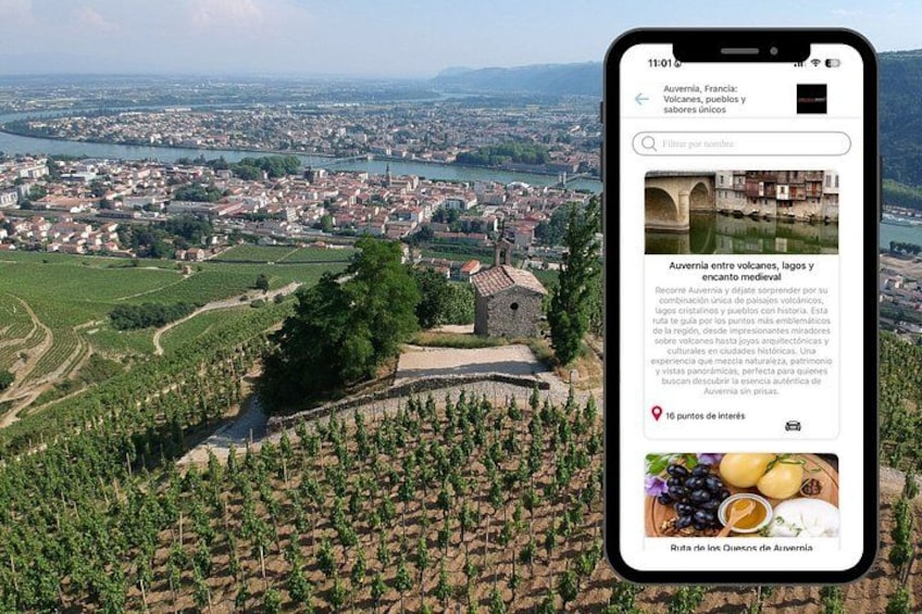 A smartphone displaying a webpage with a vineyard and a historic town in the background. 3
