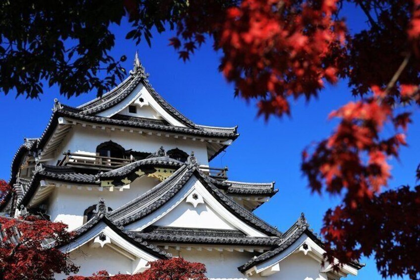 Lake Biwa Cruise, Chikubu Island and Hikone Castle in Kyoto Tour 4