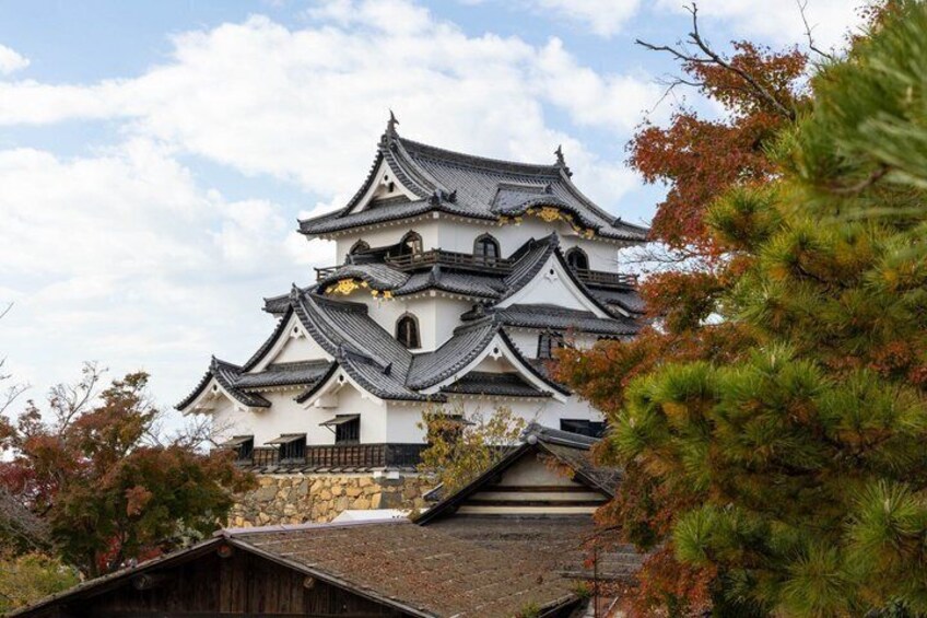 Lake Biwa Cruise, Chikubu Island and Hikone Castle in Kyoto Tour 3