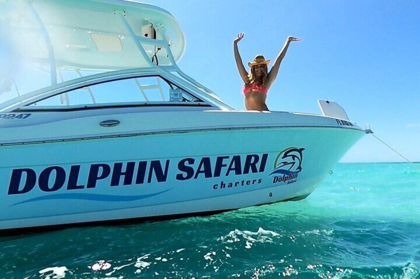 A boat with 'Dolphin Safari Charters' written on the side. 4