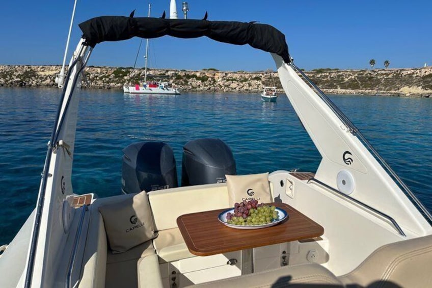 A boat with a table holding a plate of grapes, a canopy, and a rocky shoreline in the background. 2