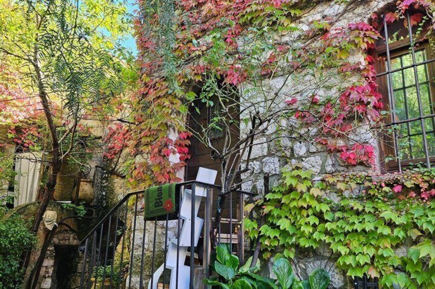 A stone building with ivy and a metal staircase. 3