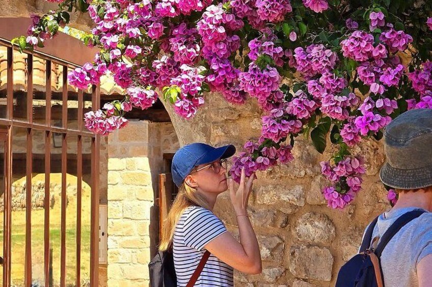 A person taking a photo of pink flowers against a stone wall. 4