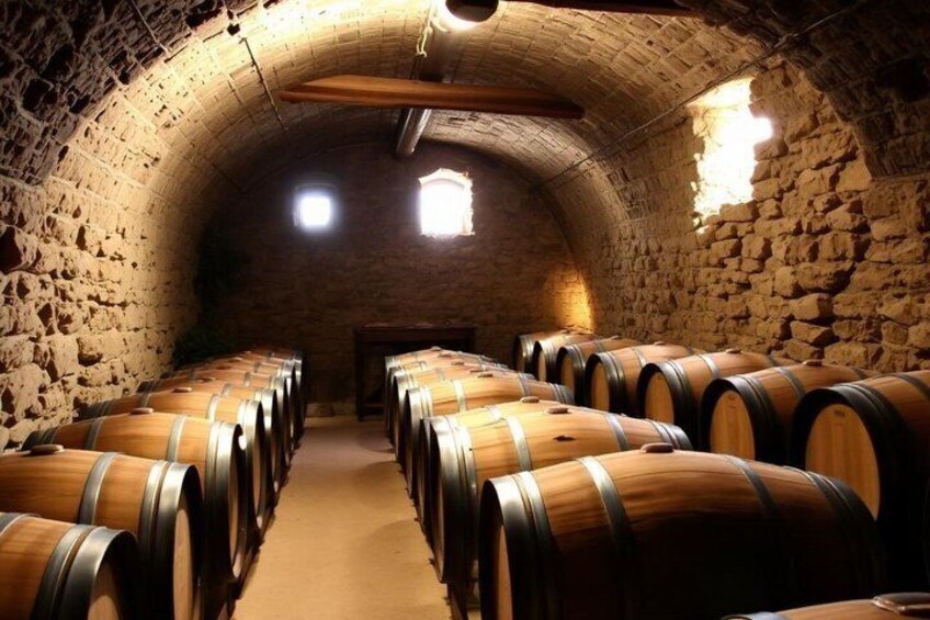 A cellar with wooden barrels arranged in rows, stone walls, and a vaulted ceiling. 4