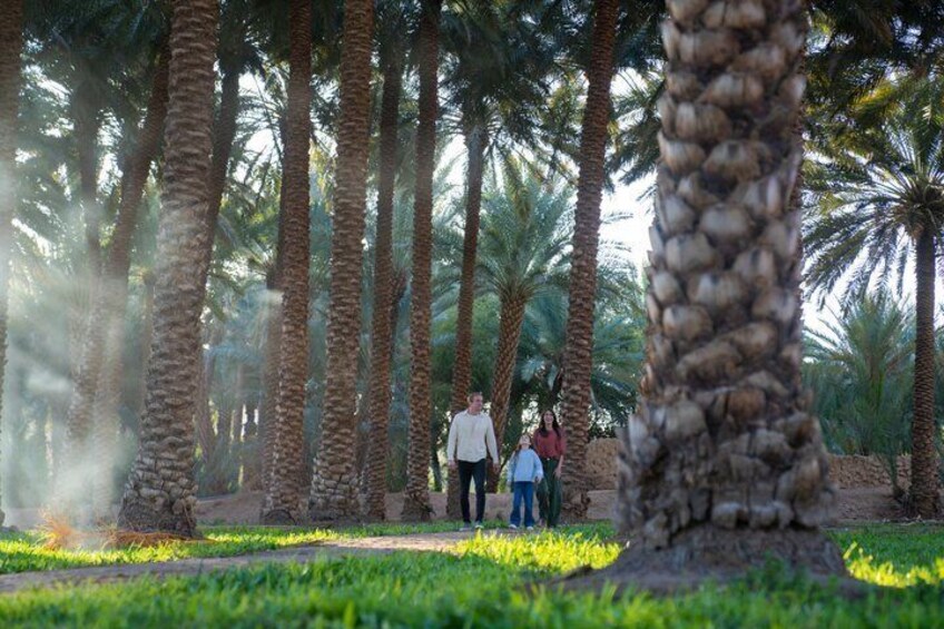 A group of people walking among tall palm trees in a park with green grass and stone structures. 3