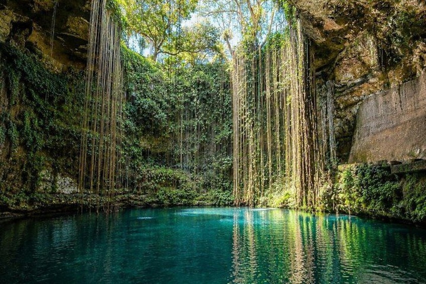 A serene natural pool surrounded by lush greenery and hanging vines. 5