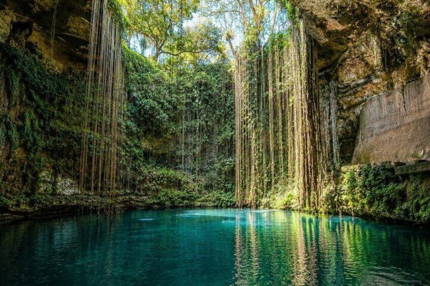 A serene cave pool surrounded by lush greenery and hanging vines. 5