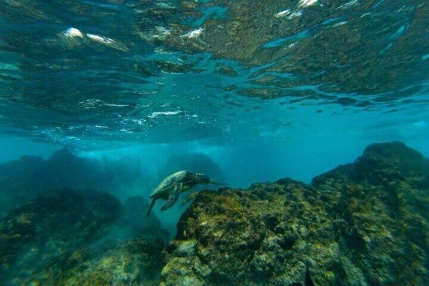 An underwater scene with a diver and rocky terrain. 4