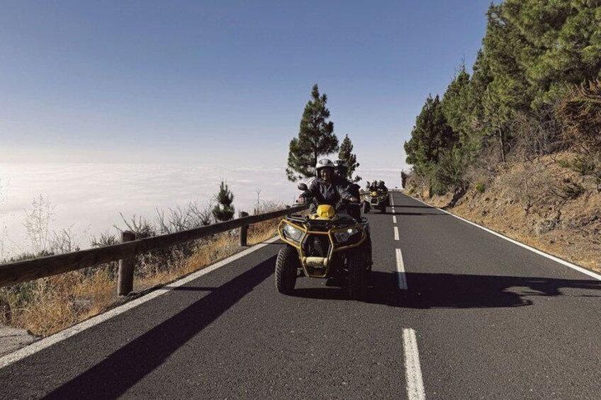 A paved road with a guardrail, surrounded by pine trees and a clear sky. 2