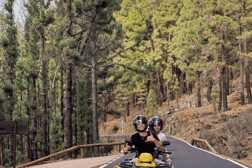 Two people on a motorcycle on a road surrounded by pine trees. 4