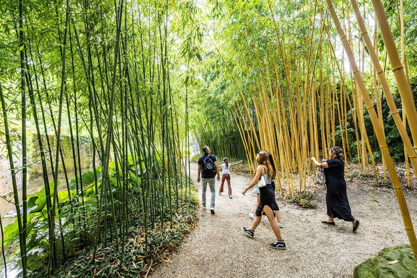 A group of people walking through a bamboo forest pathway. 5