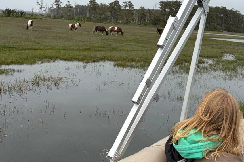 A person on a boat in a flooded field with horses grazing. 5