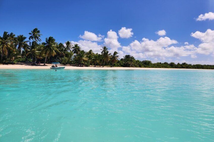 A turquoise sea, a sandy beach, and a row of palm trees under a clear sky. 1