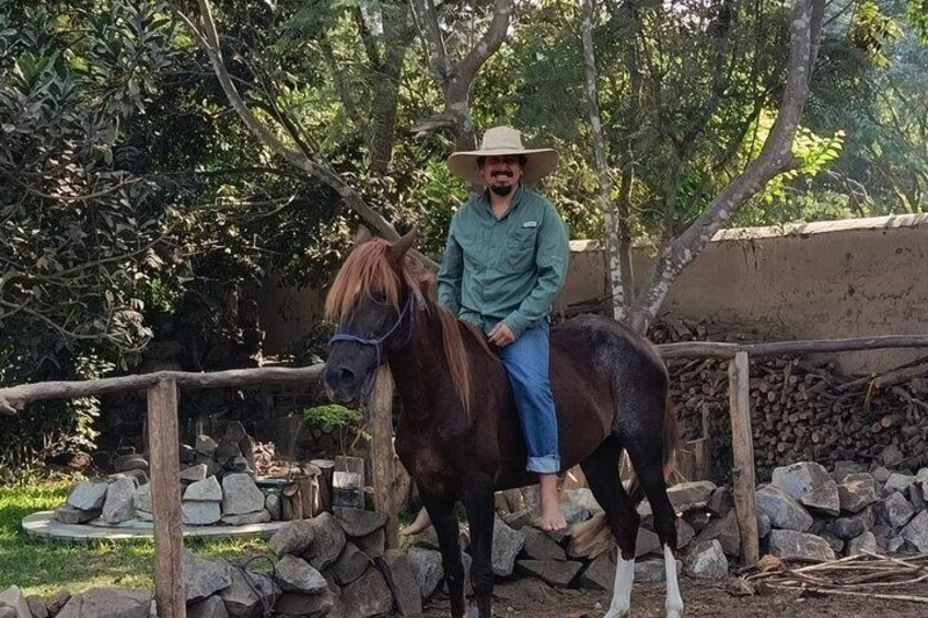 Taste the Real Peru: Live Cooking, Paso Horses & Farm Life 4