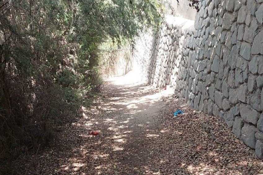A narrow path flanked by stone walls and dense foliage. 3