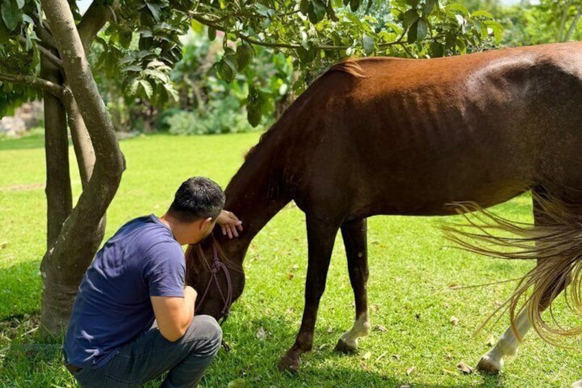 Taste the Real Peru: Live Cooking, Paso Horses & Farm Life 1