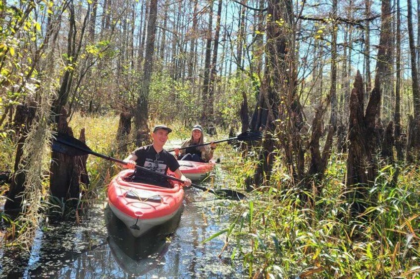 Two people kayaking through a swampy area with tall trees and water. 4