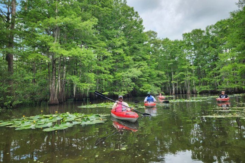 People kayaking on a river surrounded by dense forest. 5