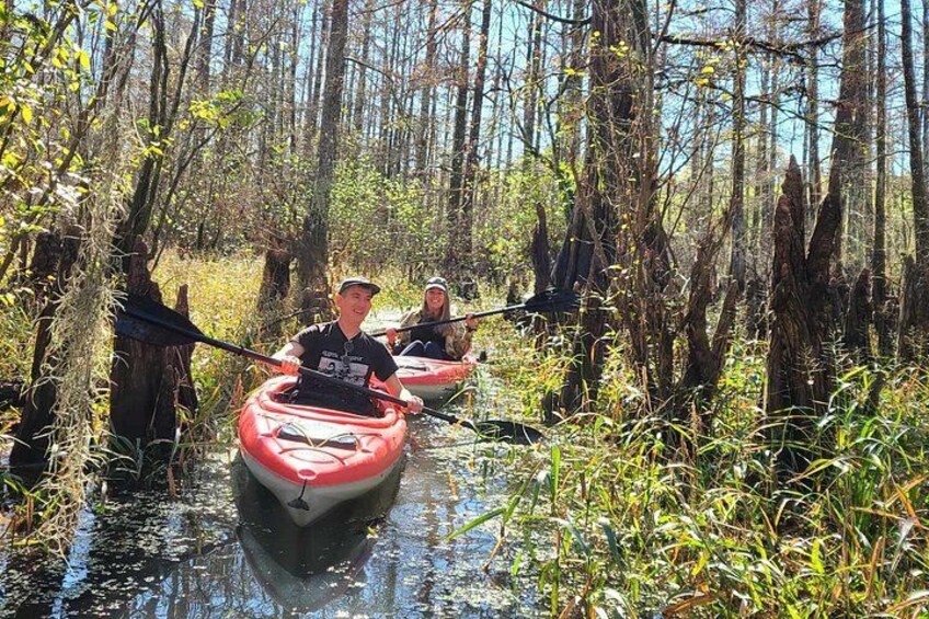 Two people kayaking through a swampy area with tall trees and water. 4