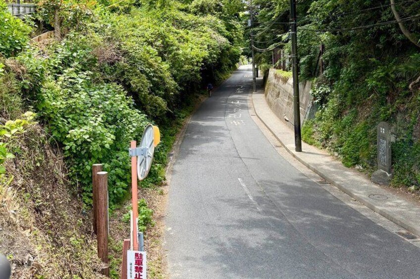 Kamakura Hidden Gems : Great Buddha, Back Alleys & Secret Cafe 5