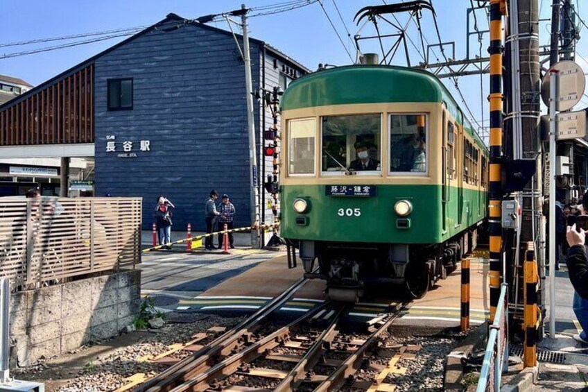 Kamakura Hidden Gems : Great Buddha, Back Alleys & Secret Cafe 3