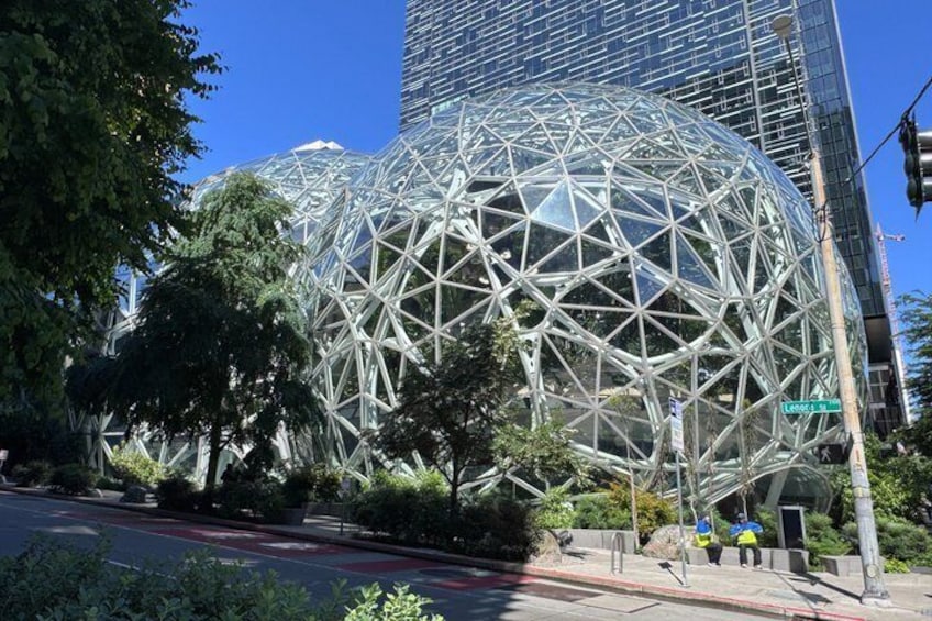 A large geodesic dome structure surrounded by trees and buildings. 2