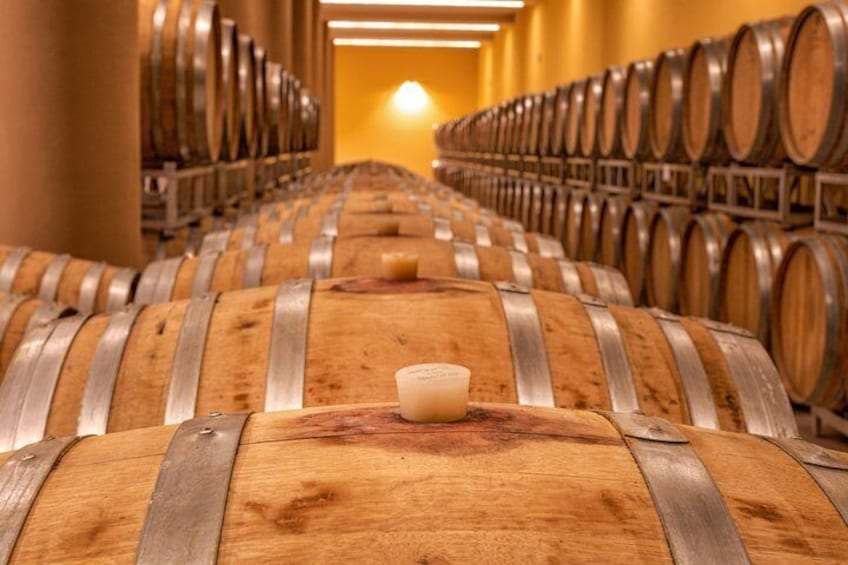 A row of wooden wine barrels in a cellar. 3