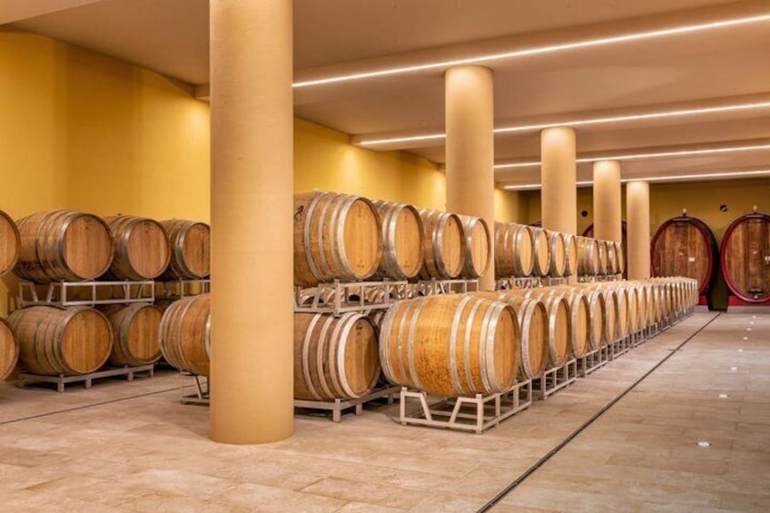 A wine cellar with rows of wooden barrels and a yellow wall. 2