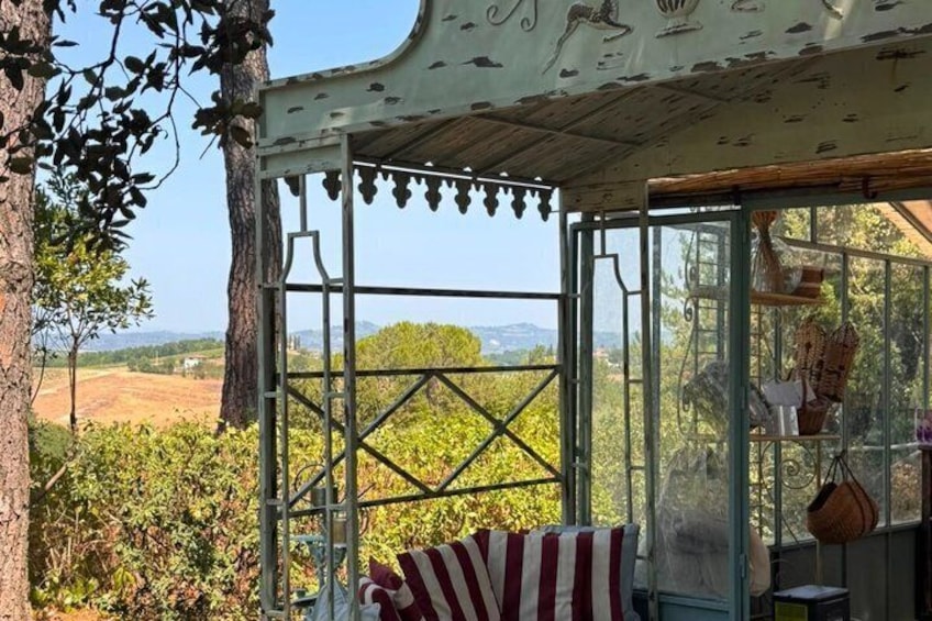 A rustic gazebo with a view of a vineyard and distant hills. 5