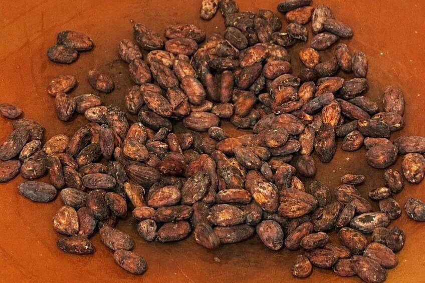 Traditional Oaxacan Chocolate Class 5