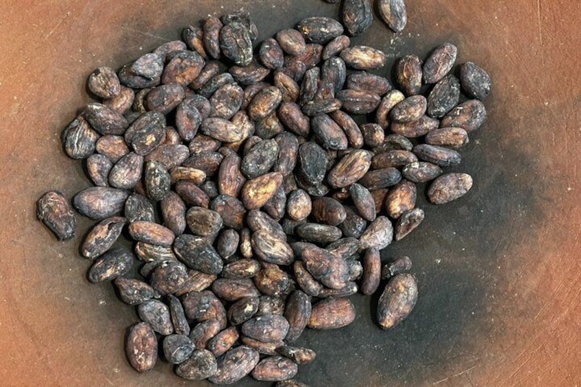 Traditional Oaxacan Chocolate Class 2