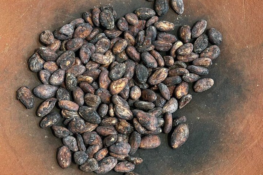 Traditional Oaxacan Chocolate Class 4