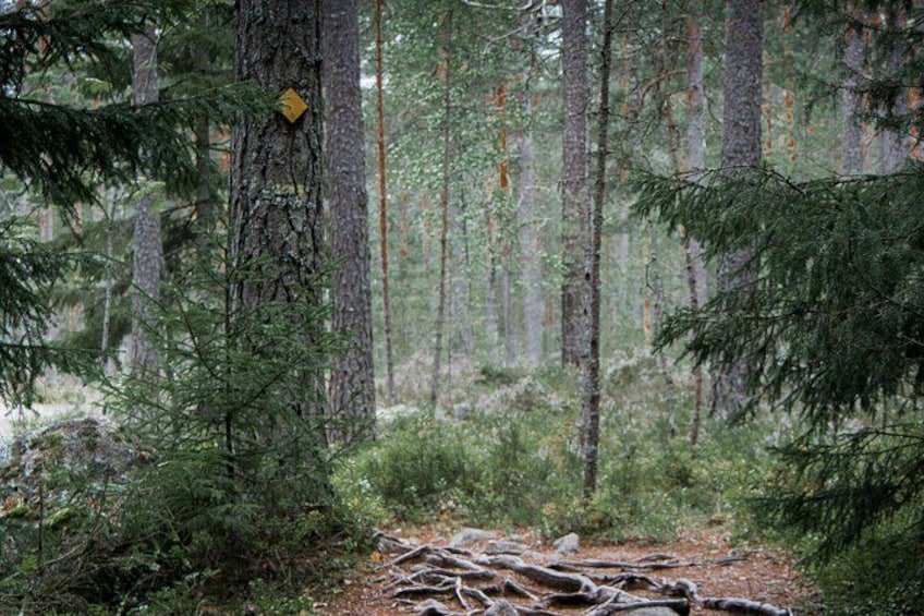 Private Hike in National Park with Campfire Lunch 1